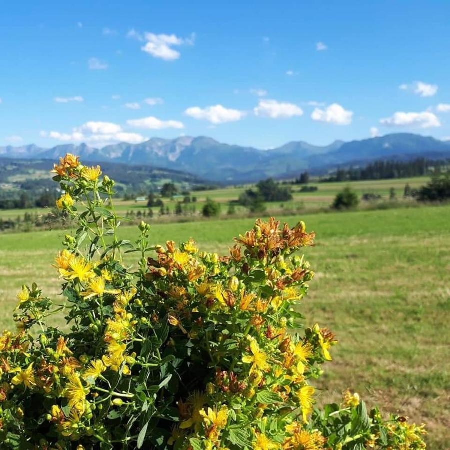 Magurskie Bywanie Witów Buitenkant foto