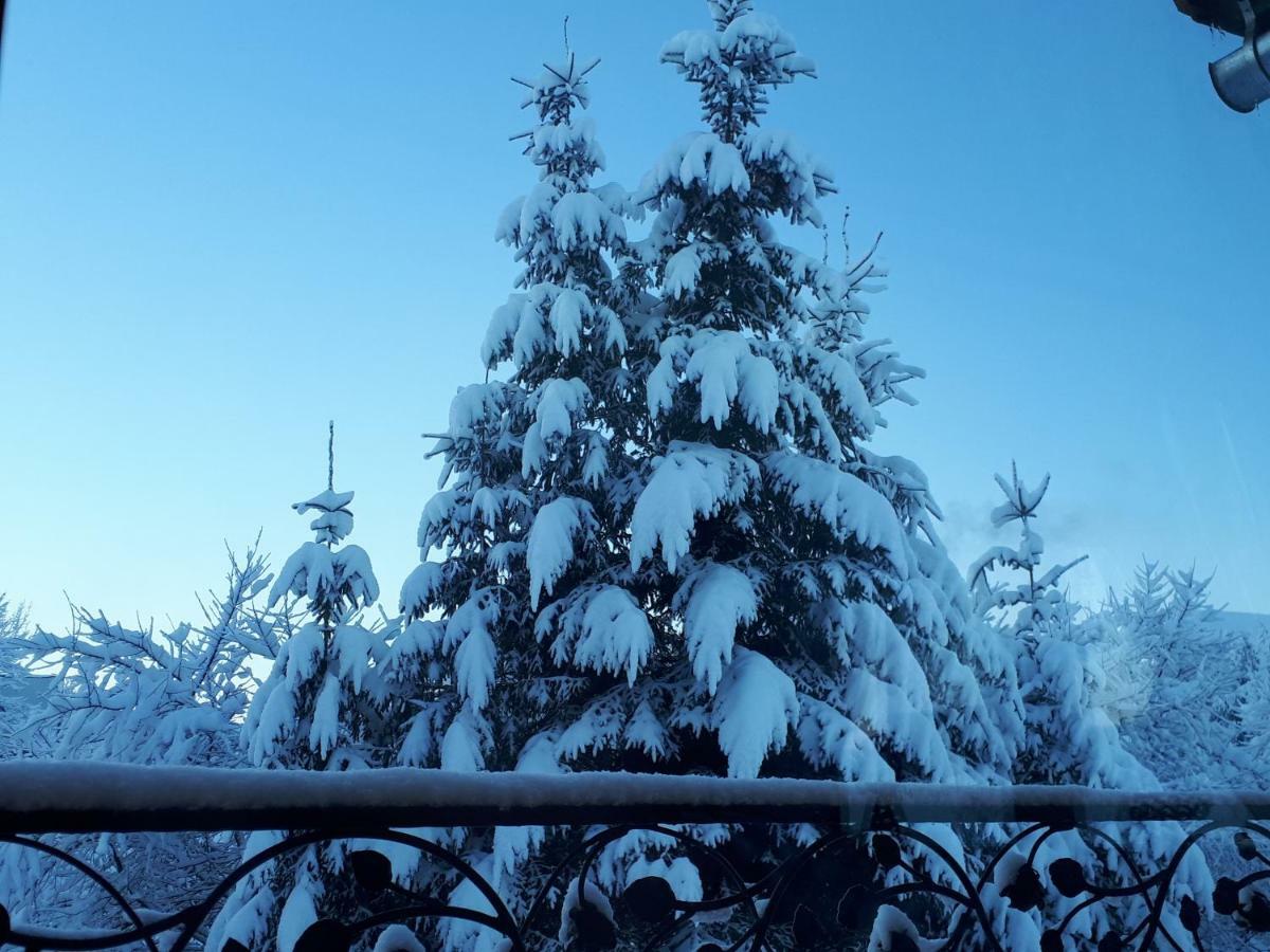 Magurskie Bywanie Witów Buitenkant foto