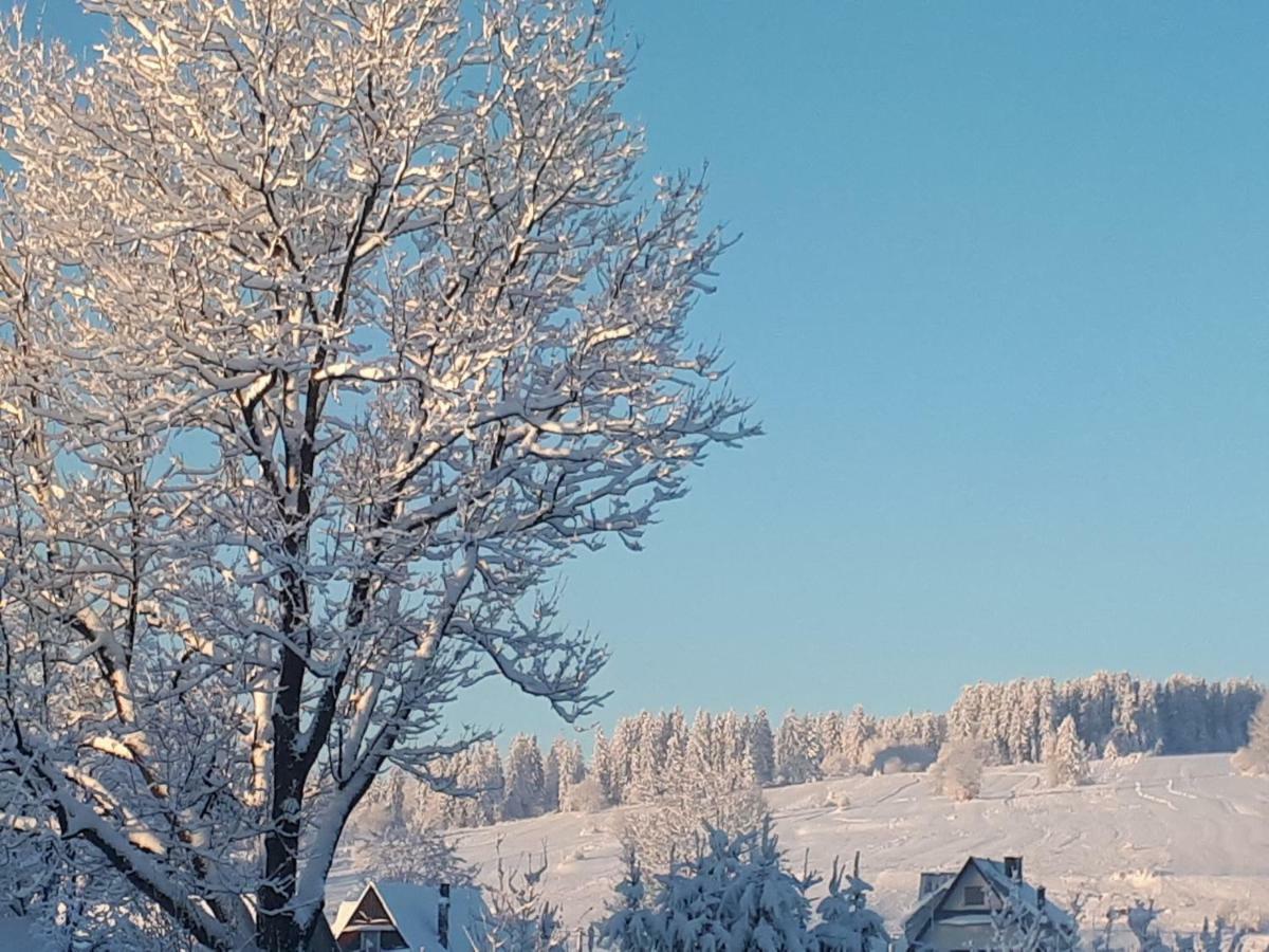 Magurskie Bywanie Witów Buitenkant foto